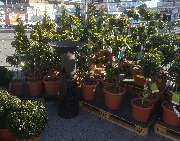 OBI Markt Mössingen - OBI Badplaner Mössingen