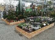 OBI Markt Mössingen - OBI Gartencenter Mössingen