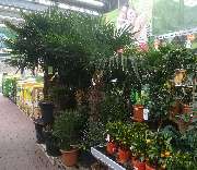 OBI Markt Mössingen - OBI Gartencenter Mössingen