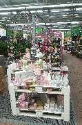 OBI Markt Mössingen - OBI Markt-Eingang Mössingen