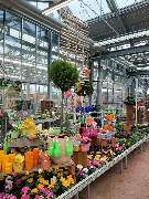 OBI Markt Mühldorf - OBI Mühldorf - der Frühling wird bunt