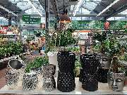 OBI Markt Mühldorf - OBI Mühldorf - Neue Topfkollektion