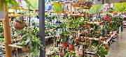 OBI Markt München-Trudering - GALLERY