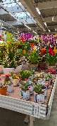 OBI Markt München-Trudering - GALLERY
