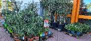 OBI Markt München-Trudering - GALLERY