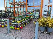 OBI Markt München-Trudering - GALLERY