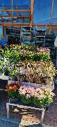 OBI Markt München-Trudering - GALLERY