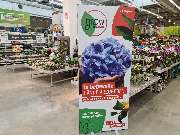 OBI Markt München-Trudering - grow by OBI