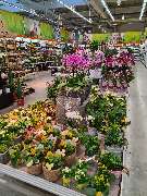 OBI Markt München-Trudering - OBI Farbmisch-Service München-Trudering