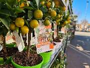 OBI Markt München-Trudering - OBI Kasse München-Trudering