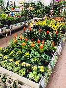 OBI Markt Naila - Gartencenter OBI Naila