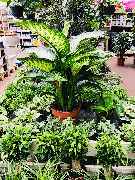 OBI Markt Naila - Gartencenter OBI Naila