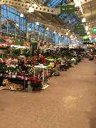 OBI Markt Naumburg / Saale - Gartencenter / Pflanze2019