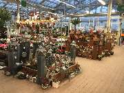 OBI Markt Naumburg / Saale - Kalthalle Pflanze2019