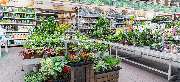 OBI Markt Nettetal-Kaldenkirchen - OBI Gartencenter Nettetal-Kaldenkirchen