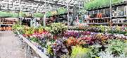 OBI Markt Nettetal-Kaldenkirchen - OBI Gartencenter Nettetal-Kaldenkirchen