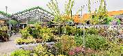 OBI Markt Nettetal-Kaldenkirchen - OBI Gartencenter Nettetal-Kaldenkirchen