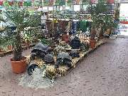 OBI Markt Neuburg a.d. Donau - Garten Kalthalle