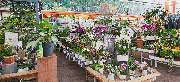 OBI Markt Neuburg a.d. Donau - OBI Gartencenter Neuburg an der Donau