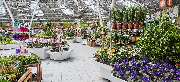 OBI Markt Neumarkt - OBI Gartencenter Neumarkt