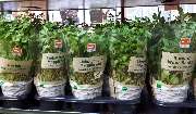 OBI Markt Neunkirchen - Gartenplaner