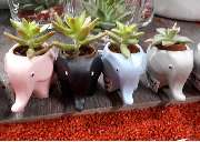 OBI Markt Neunkirchen - OBI CREATE