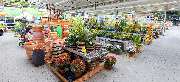 OBI Markt Neunkirchen - OBI Farbmisch-Service Neunkirchen