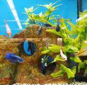 OBI Markt Neunkirchen - OBI Gartenplaner Neunkirchen