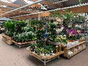 OBI Markt Neuruppin - OBI Gartencenter Neuruppin