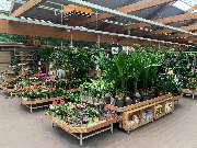 OBI Markt Neuruppin - OBI Gartenplaner Neuruppin
