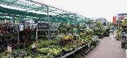 OBI Markt Neuruppin - OBI Holzzuschnitt-Service Neuruppin