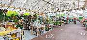 OBI Markt Neustadt a. Rübenberge - OBI Gartencenter Neustadt am Rübenberge