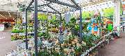OBI Markt Neustadt a. Rübenberge - OBI Gartencenter Neustadt am Rübenberge