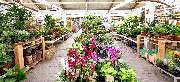OBI Markt Neustadt / Aisch - OBI Gartencenter Neustadt-Aisch