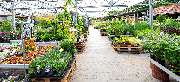 OBI Markt Neustadt / Aisch - OBI Gartencenter Neustadt-Aisch