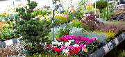 OBI Markt Neustrelitz - OBI Gartencenter Neustrelitz