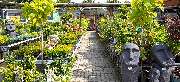 OBI Markt Neustrelitz - OBI Gartencenter Neustrelitz