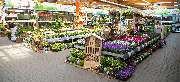 OBI Markt Neustrelitz - OBI Gartencenter Neustrelitz