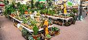 OBI Markt Neustrelitz - OBI Gartencenter Neustrelitz