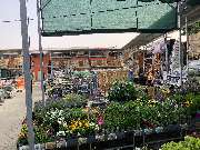 OBI Markt Niesky - Beschattung