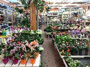 OBI Markt Niesky - Gartenmöbel