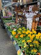 OBI Markt Niesky - OBI Gartencenter Niesky