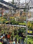 OBI Markt Niesky - OBI Gartencenter Niesky