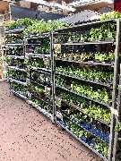 OBI Markt Niesky - OBI Gartencenter Niesky