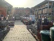 OBI Markt Niesky - Pflanze