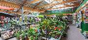 OBI Markt Nordenham - OBI Gartencenter Nordenham