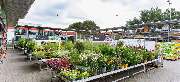 OBI Markt Nordenham - OBI Gartencenter Nordenham