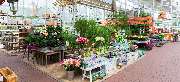 OBI Markt Norderstedt - OBI Gartencenter Norderstedt