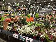 OBI Markt Nürnberg Regensburger Str. - OBI Gartencenter Nürnberg Regensburger Strasse