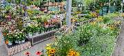 OBI Markt Nürnberg Regensburger Str. - OBI Lampen- & Leuchtenstudio Nürnberg Regensburger Strasse